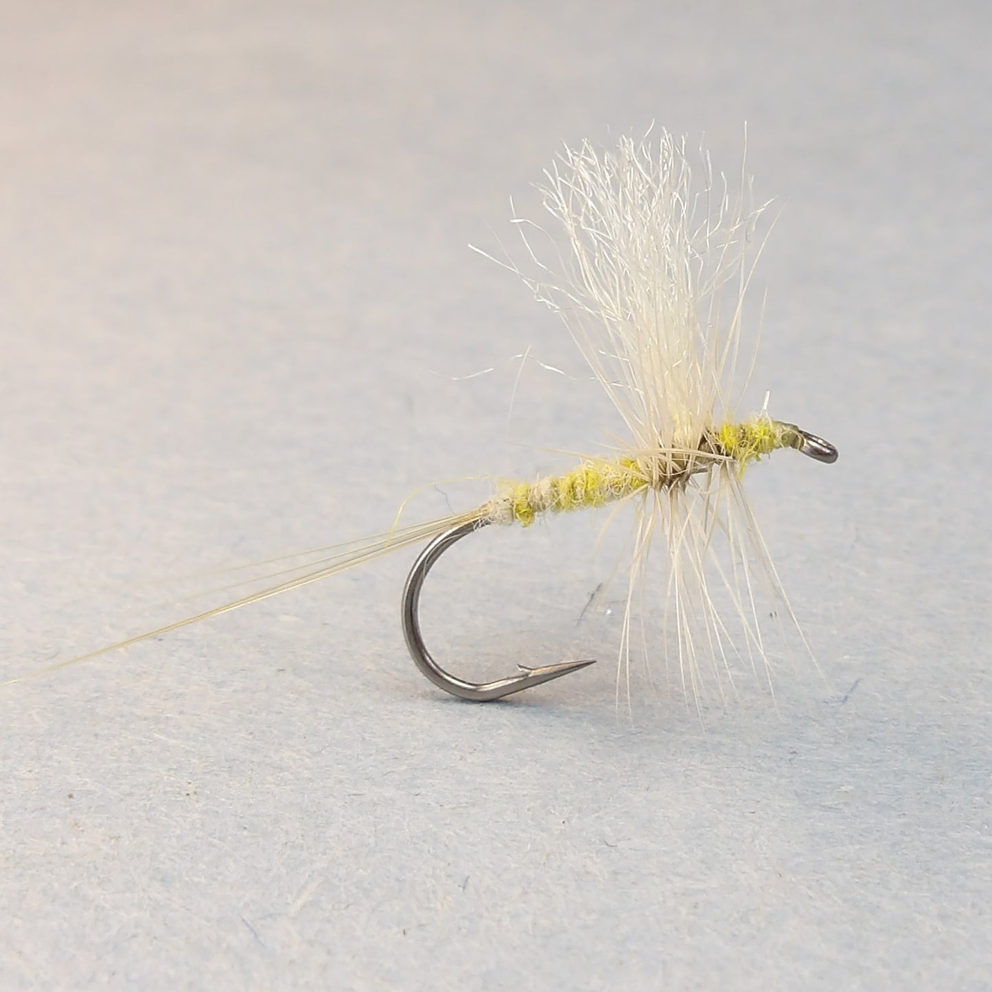 Pale Yellow Drake Thorax Dun