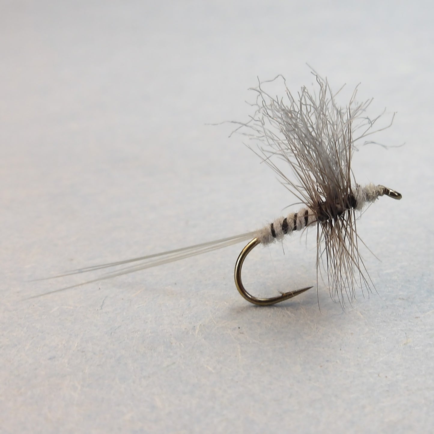 Quill Gordon Thorax Dun