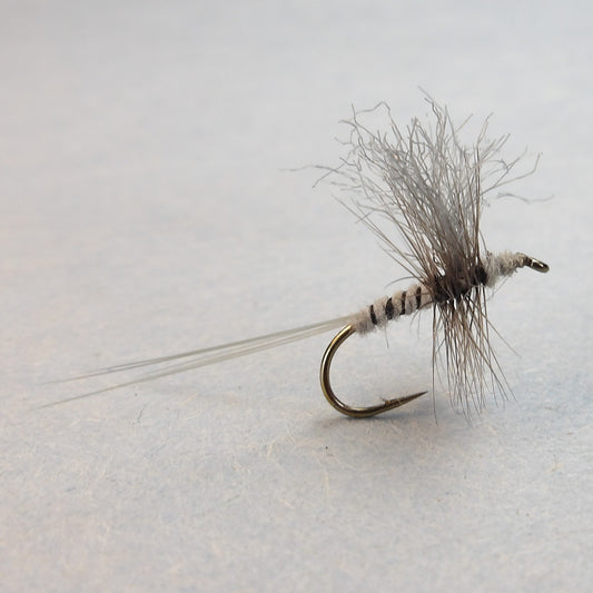 Quill Gordon Thorax Dun