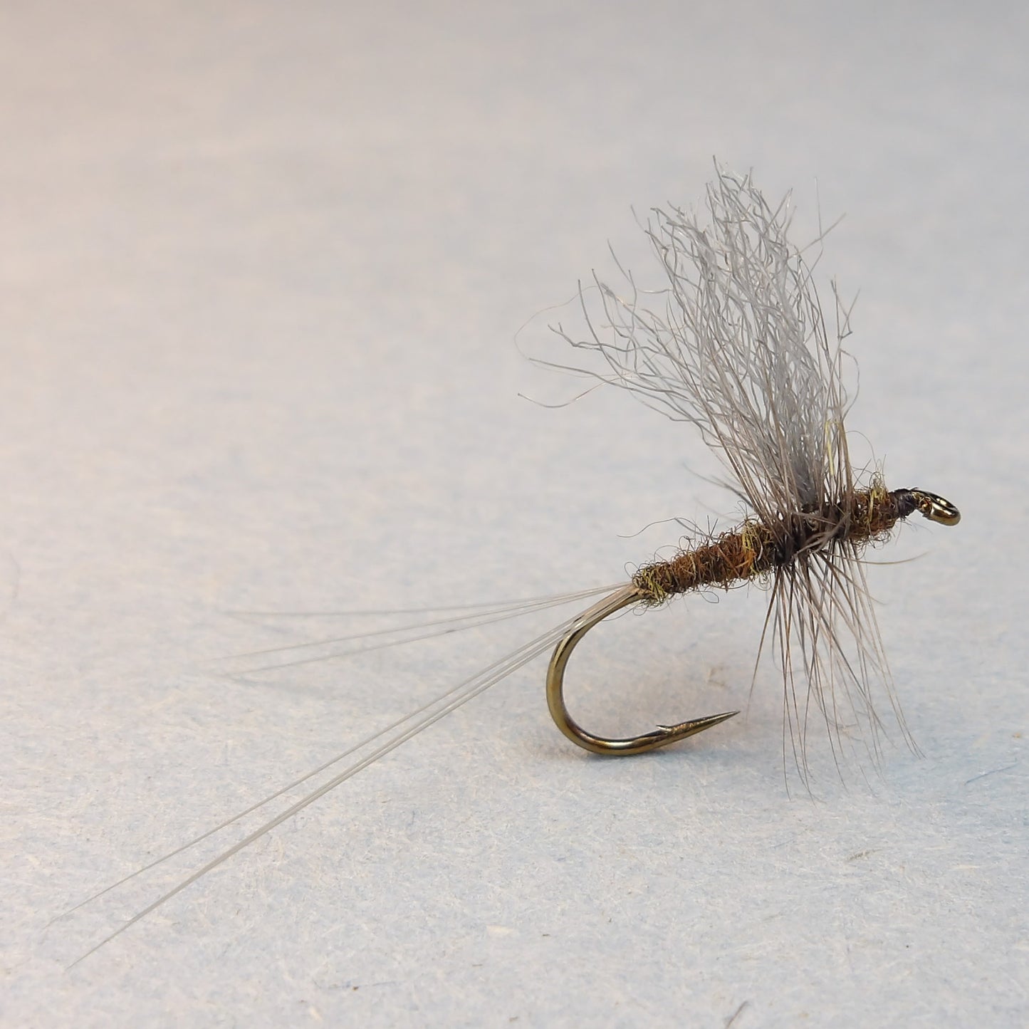 Slate Drake Thorax Dun