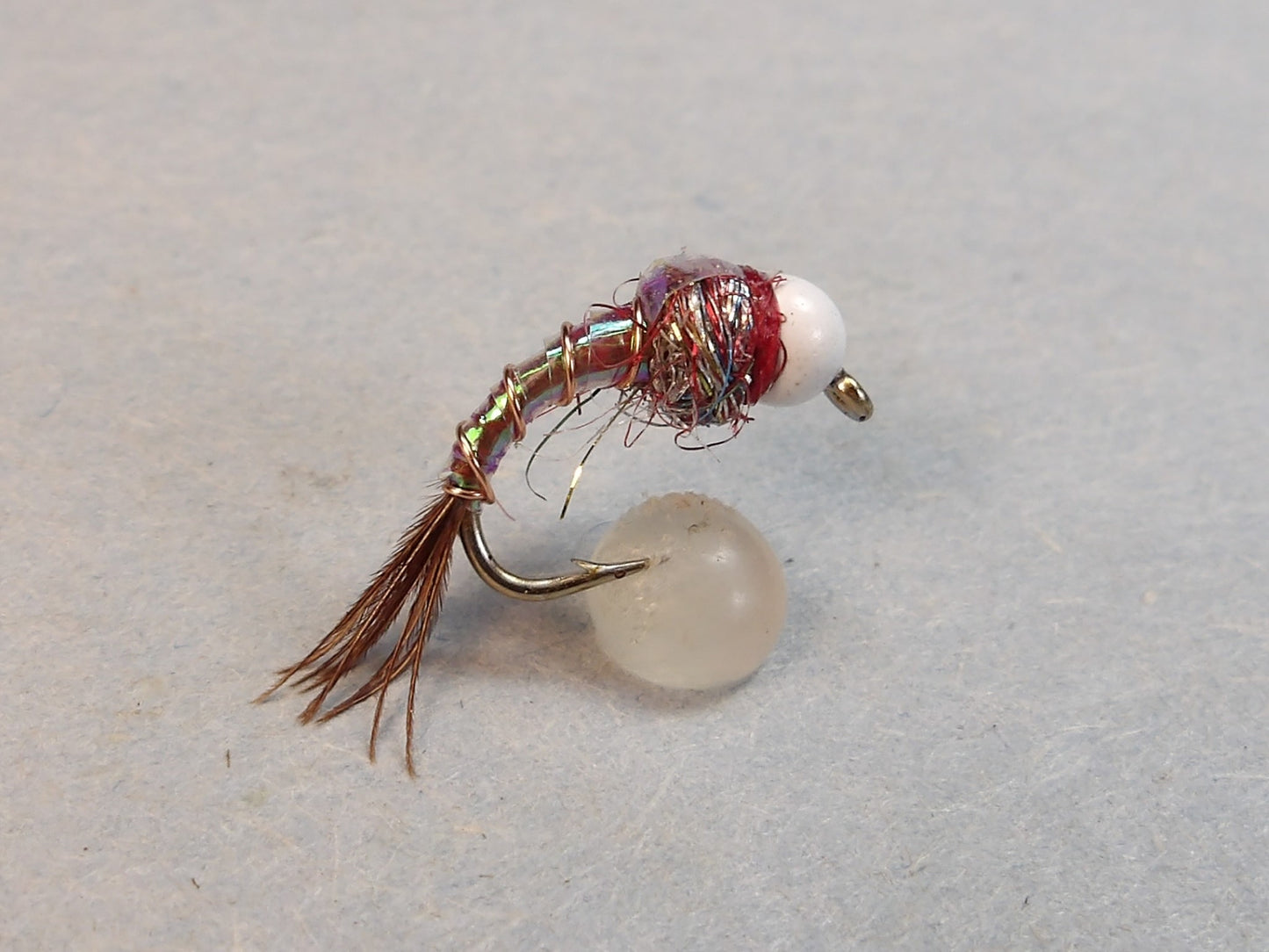 Tungston Rainbow Warrior