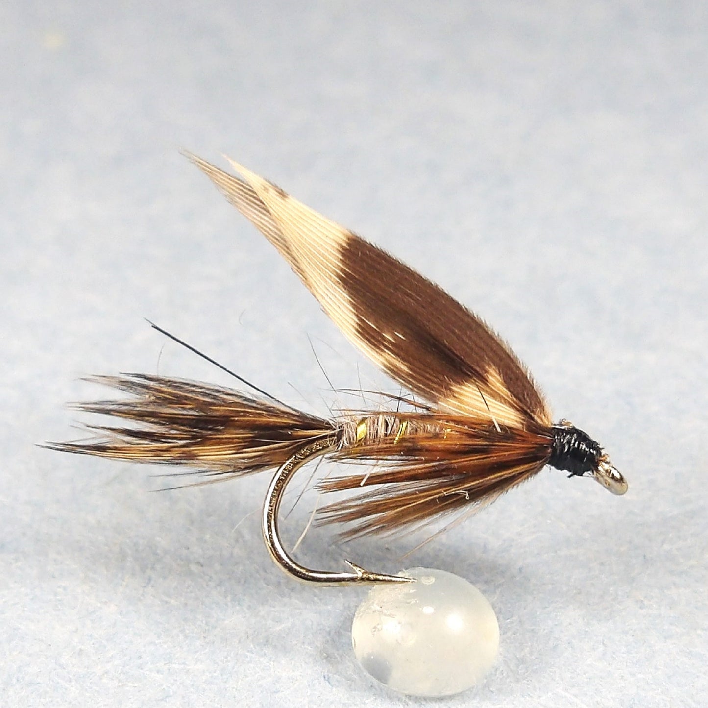 Eastern March Brown