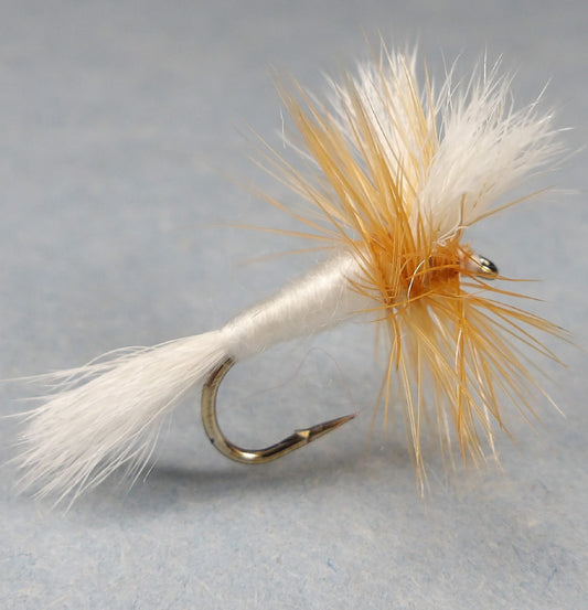 White Wulff
