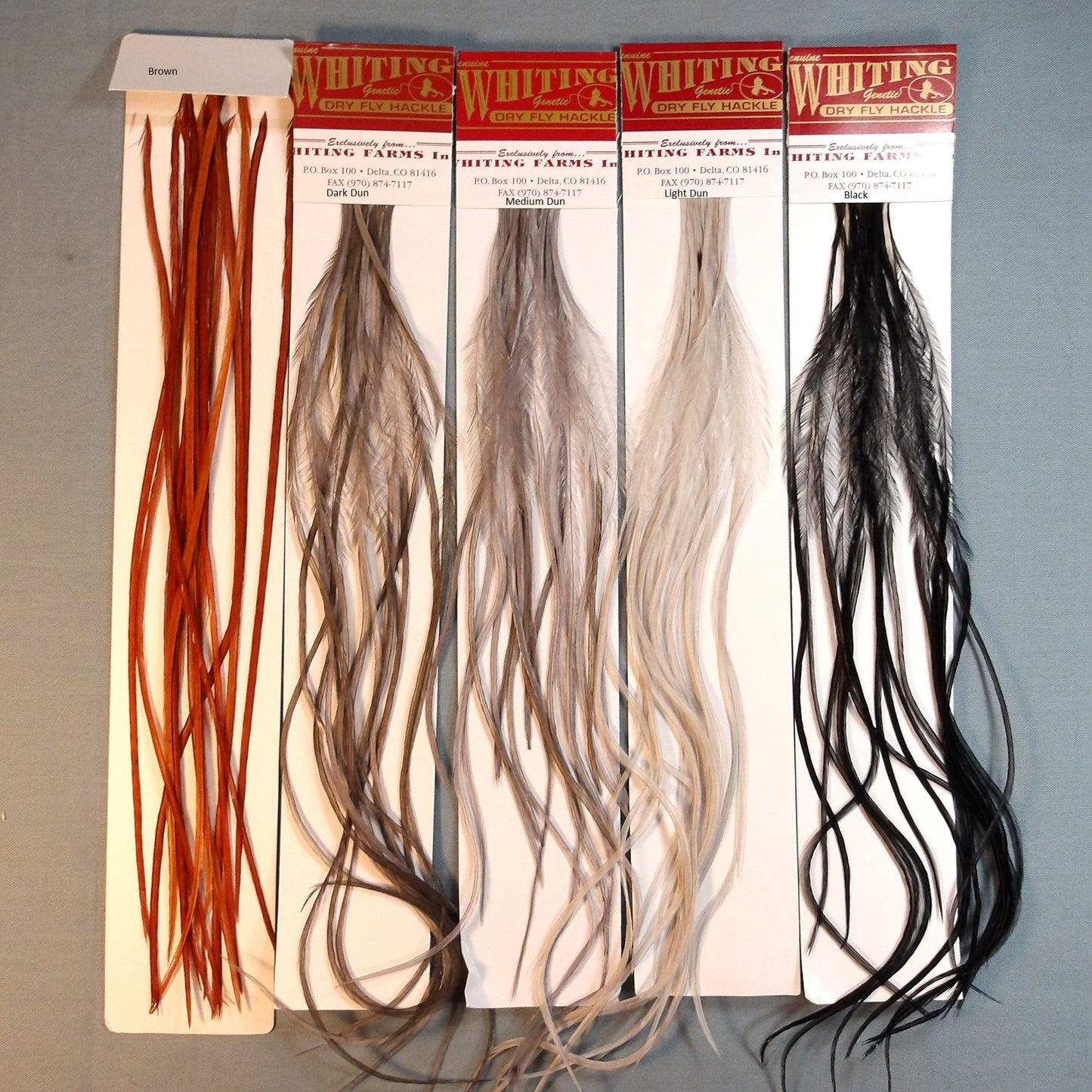 MFC Whiting 100's Dry Fly Hackle