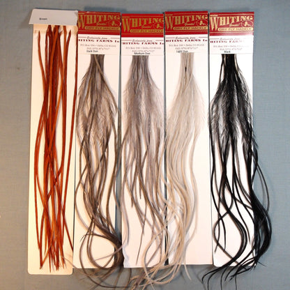 MFC Whiting 100's Dry Fly Hackle