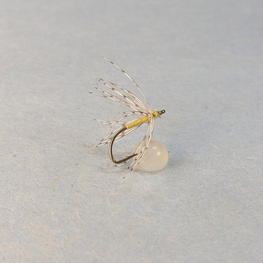 Yellow Partridge Spider