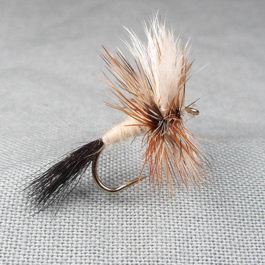 Ausable Wulff