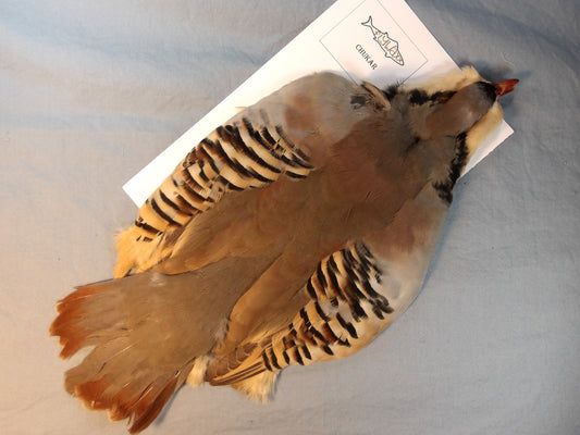 Chukar Skin