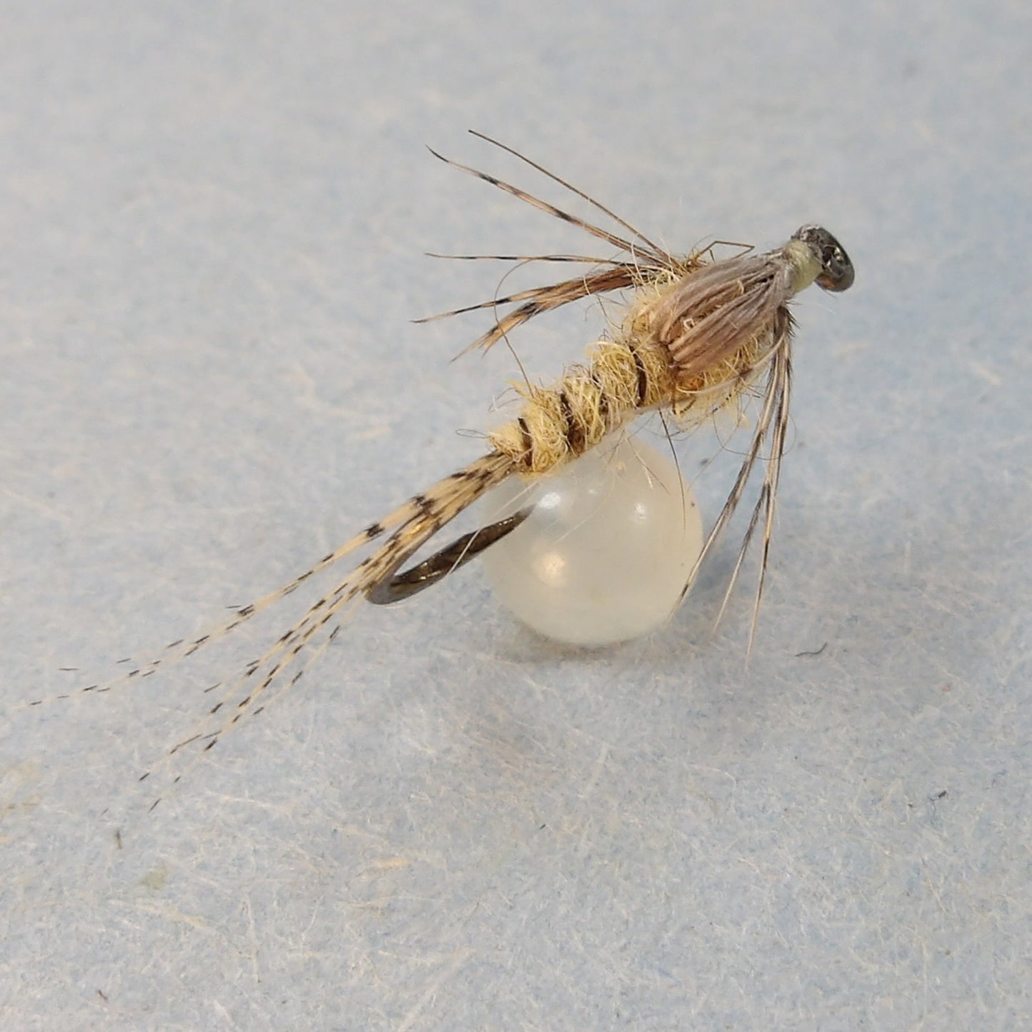 Classic Pale Sulpher Nymph