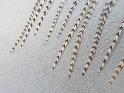 Metz Select Single Size  Dry Fly Hackle