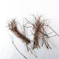 Pheasant Daddy Legs