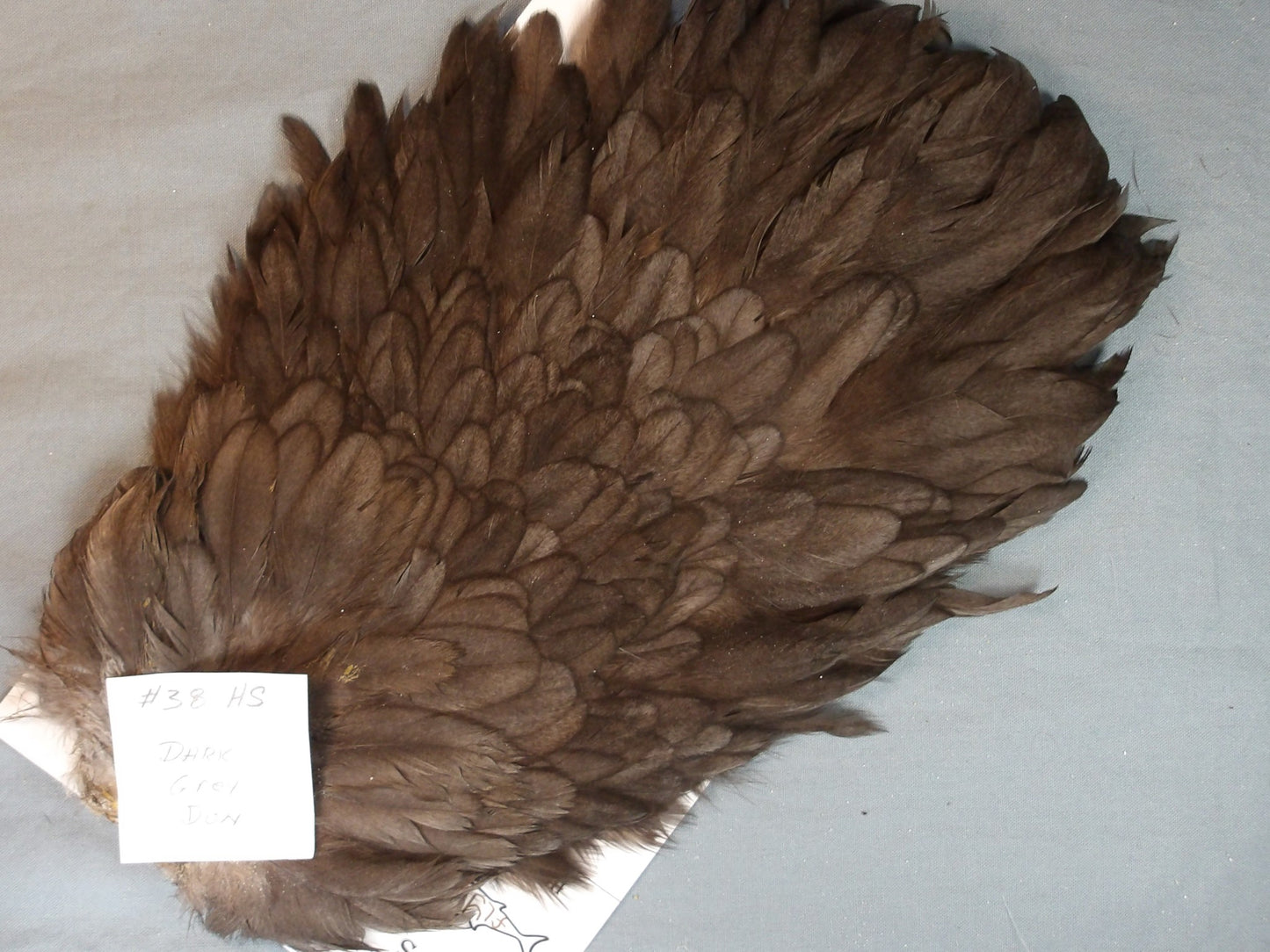 Doc's Hen Saddle  #38
