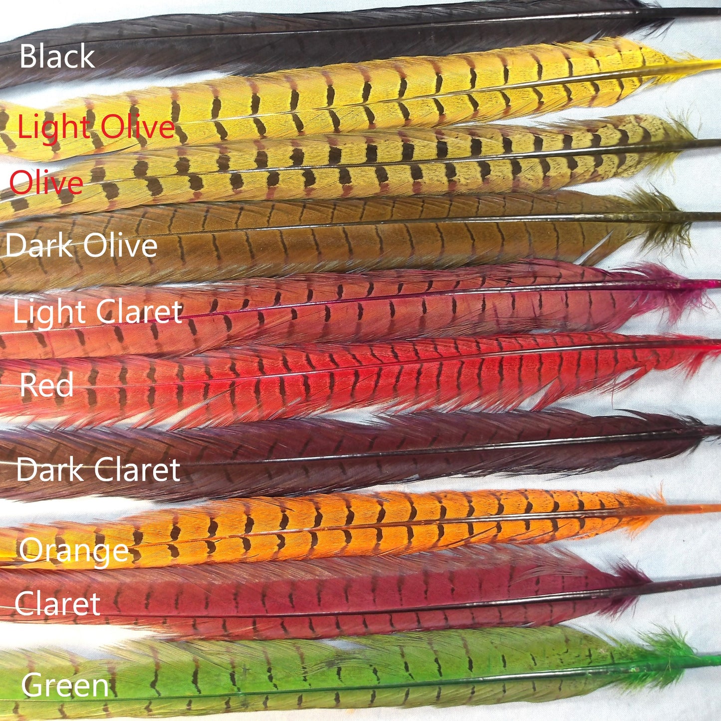 Ringneck Pheasant Center Tails from England Natural and Dyed