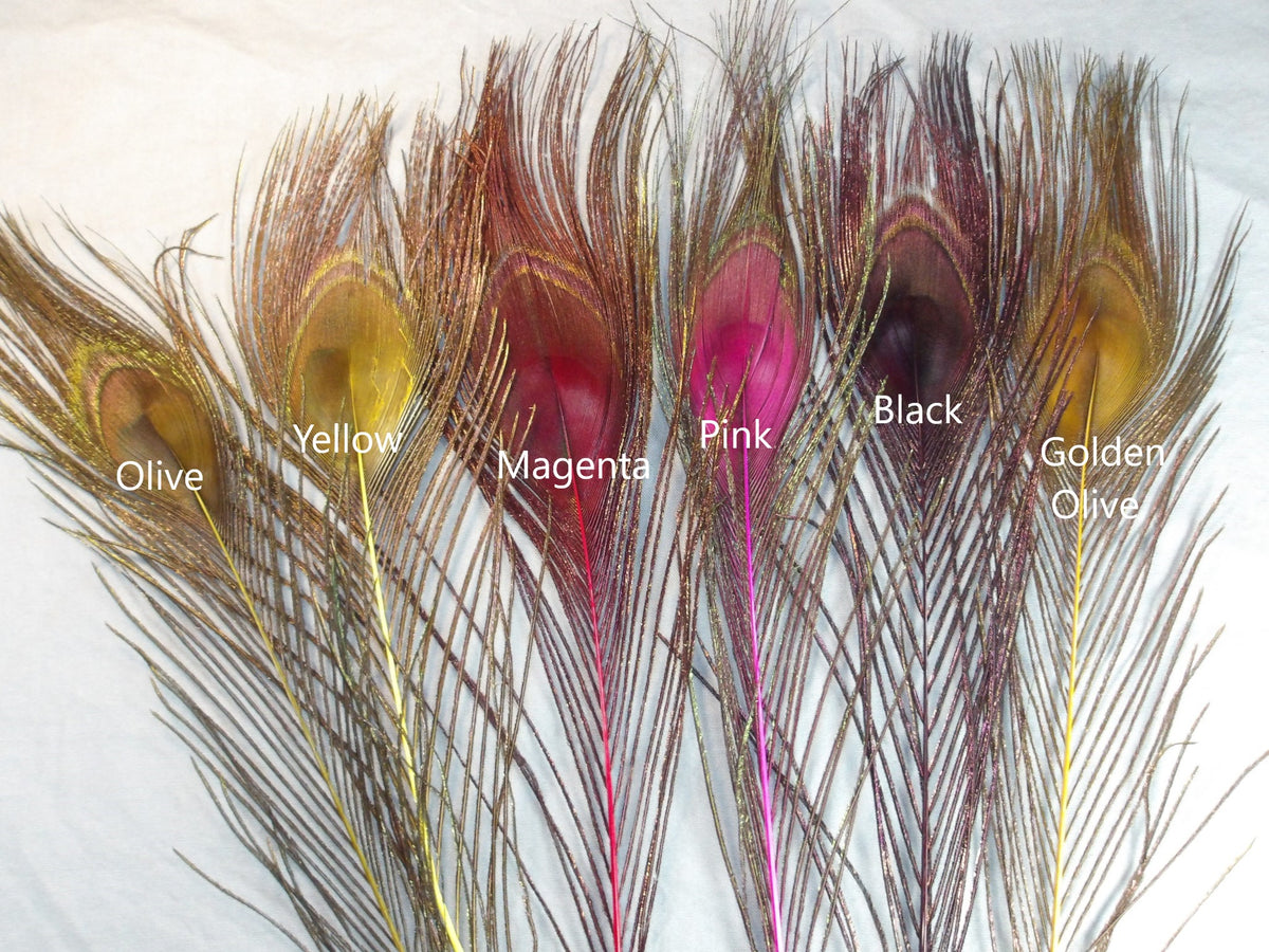 Dyed Peacock Eye Sticks