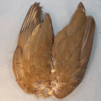 French Partridge Wings