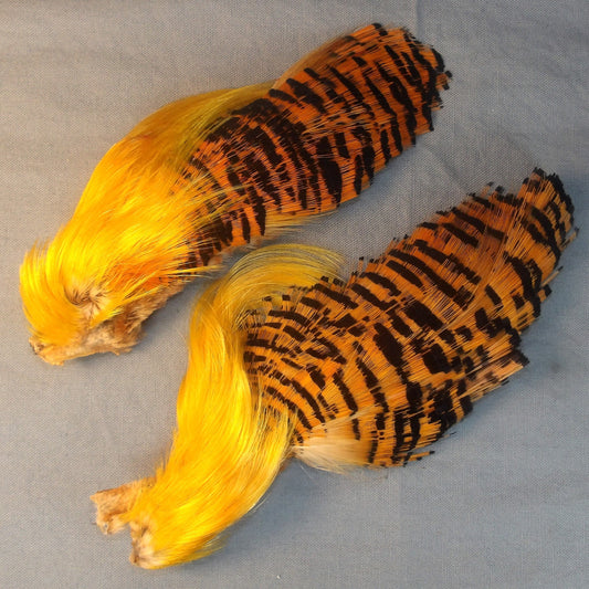 Golden Pheasant Head from FlyWaxx