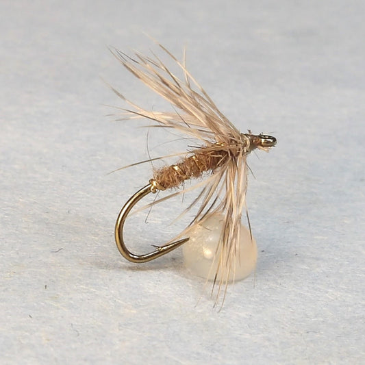 Hare Lug and Woodcock Spider