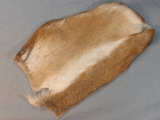 Wapsi Deer Hock Bleached