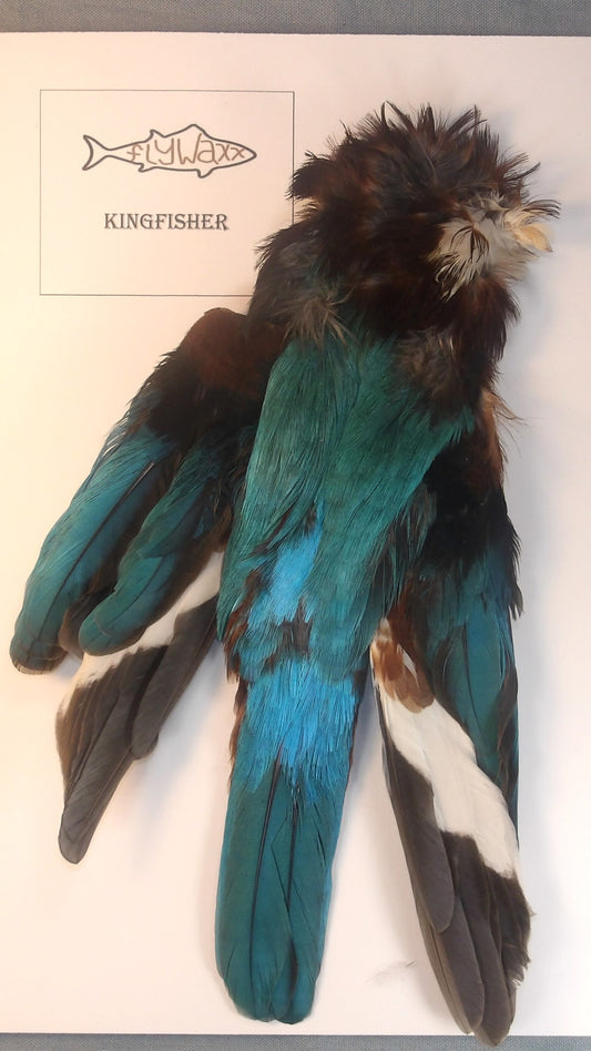 Kingfisher Skin from FlyWaxx