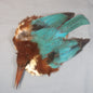 Asian Kingfisher Pelt Premium