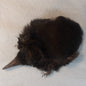 Magpie Scalp