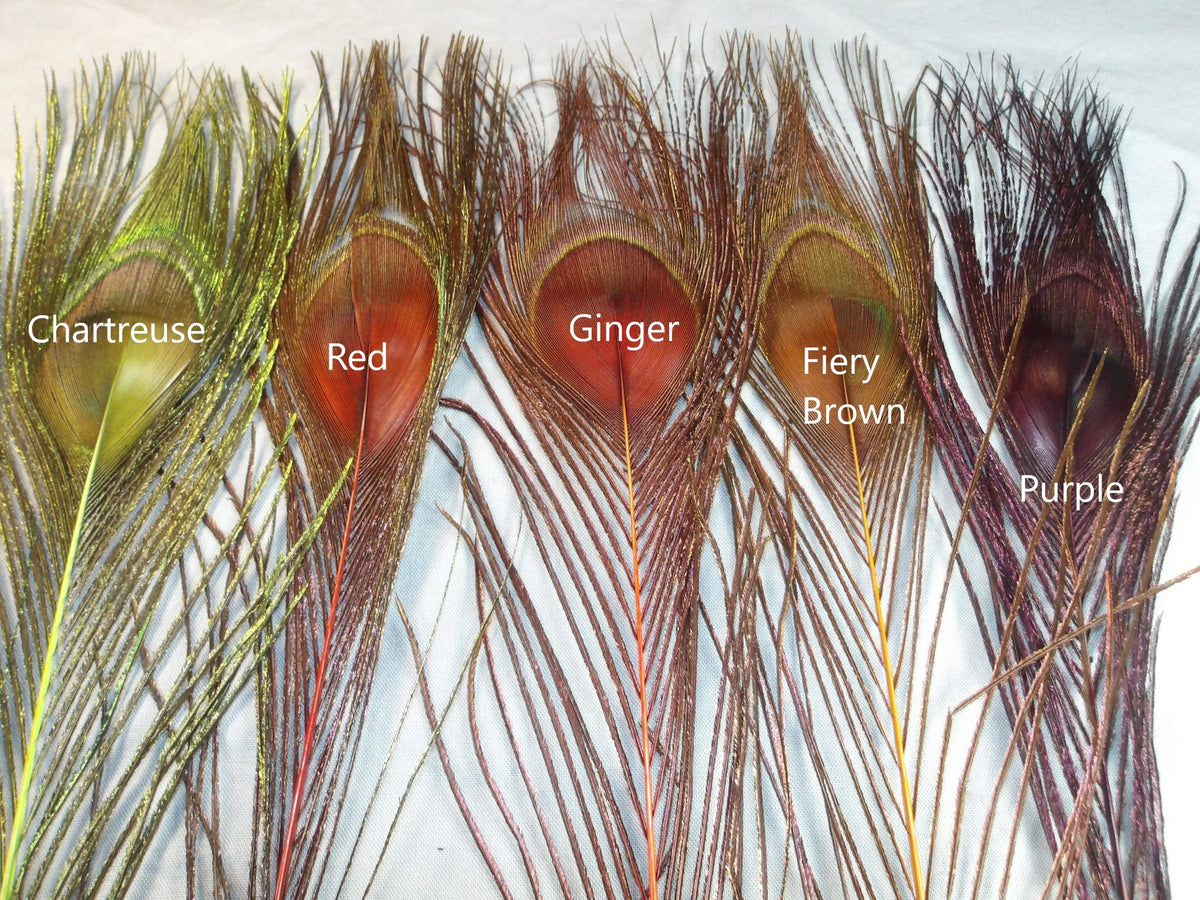 Dyed Peacock Eye Sticks