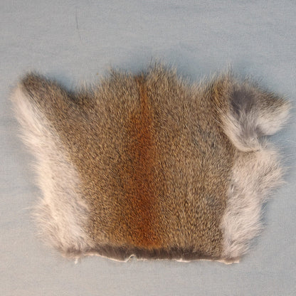Pine Squirrel Skin