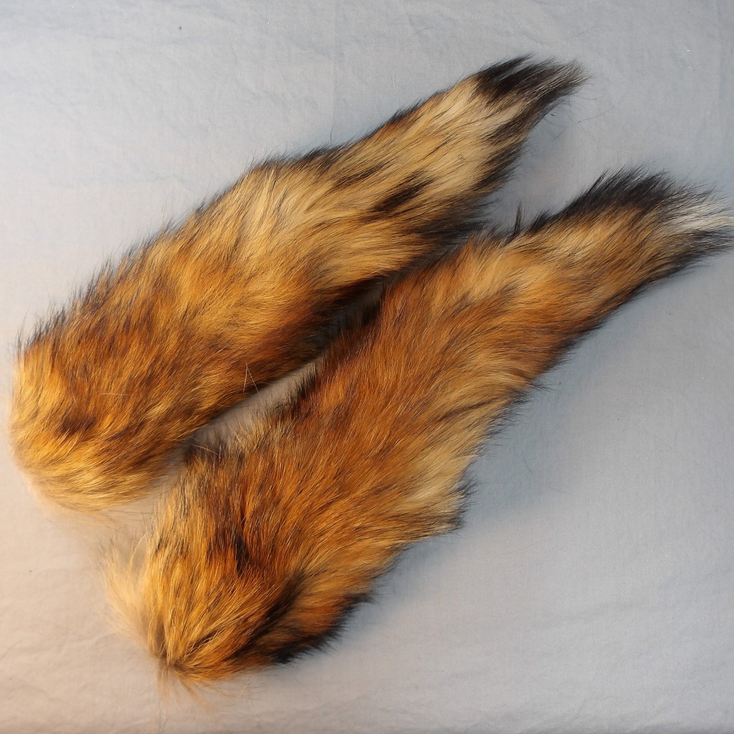Red Fox Tails