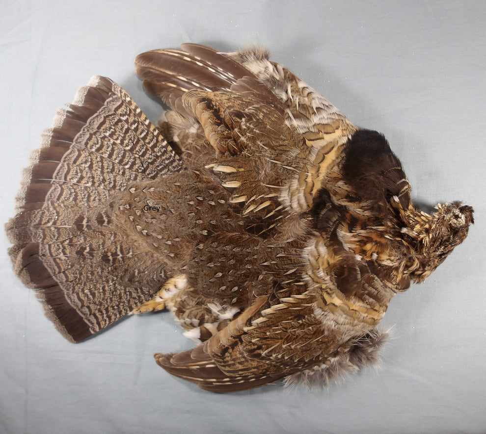 Ruffed Grouse Skin Grey – Morning Dew Angler
