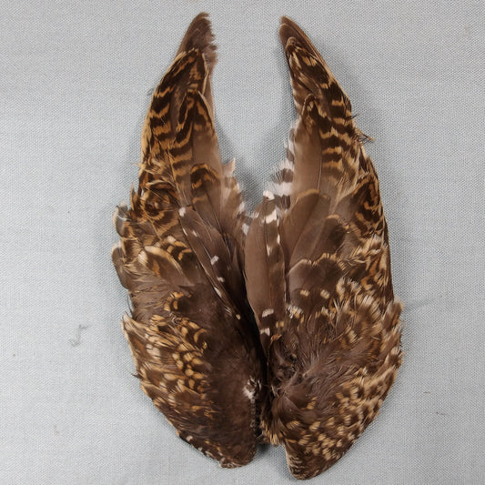 Snipe Wings