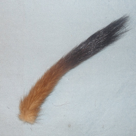 Stoat Tail
