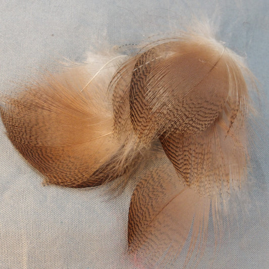 Wigeon Flank Feathers