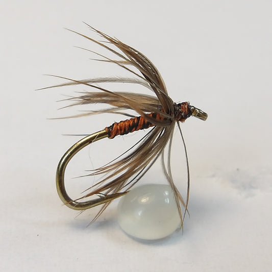 Woodcock and Brown Spider