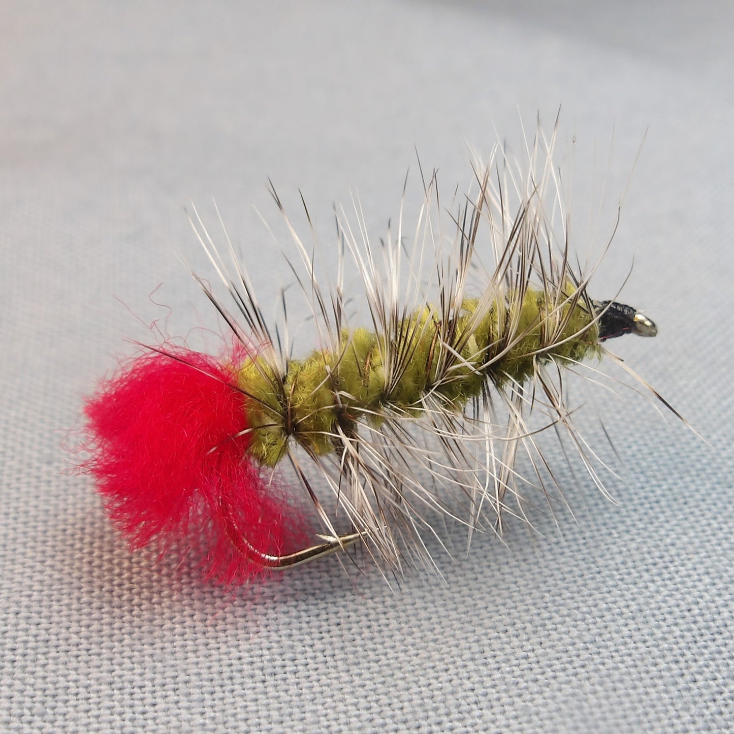 Wooly Worm Olive